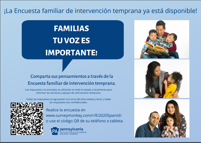 Spanish Family Survey 